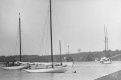 img20230316_15000211