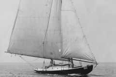 img20230317_10230697