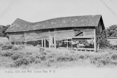 img20230317_11432834