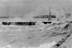 img20230321_11171273