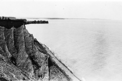 img20230321_11173982