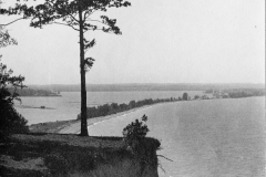 img20230321_11564991