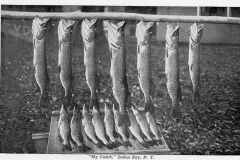 img20230321_12065122