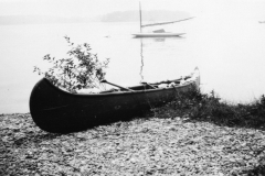 img20230321_12431243