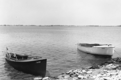 img20230321_12481028